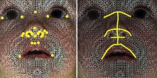 Anatomical landmark points (left) on 3D facial image interpolated to obtain principal curves (right).