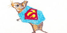 Supermouse