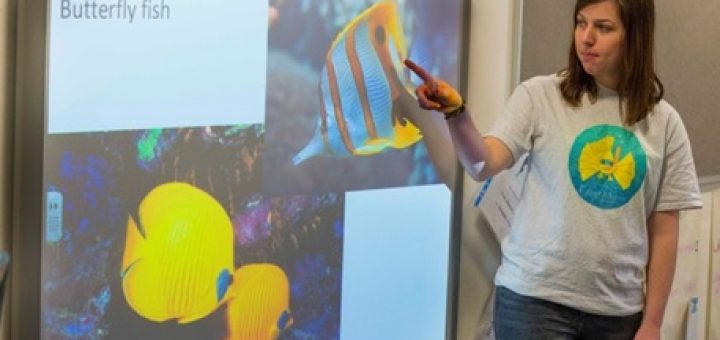 Butterfly fish presentation