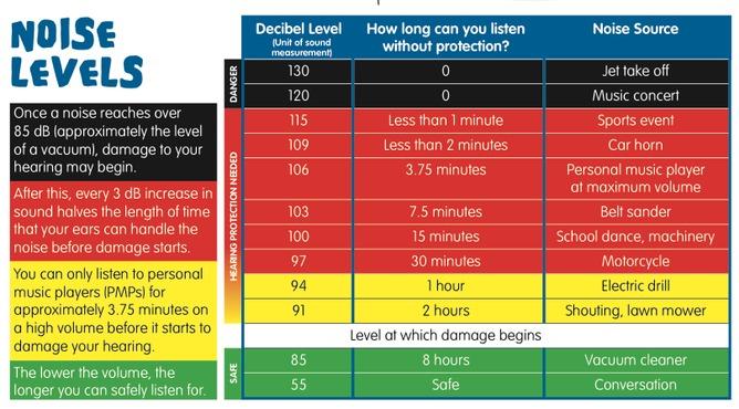 A snapshot of damaging levels of sound. Credit: Ear Science Institute Australia