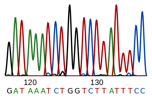 An example of a short DNA sequence. Image credit: Sjef via Wikimedia Commons. This image has been released into the public domain worldwide by the author.