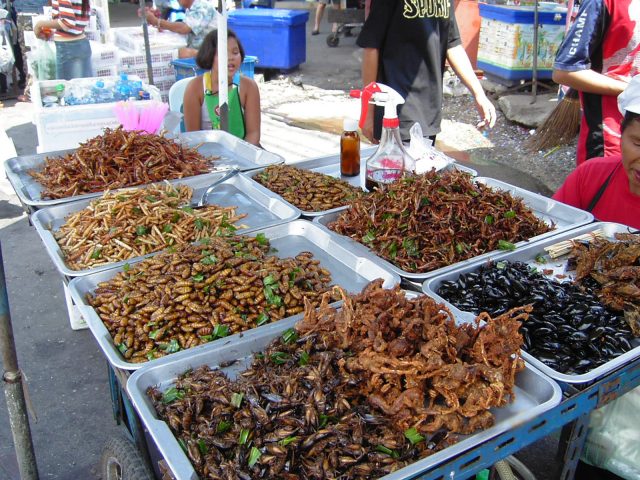 Insect_food_stall
