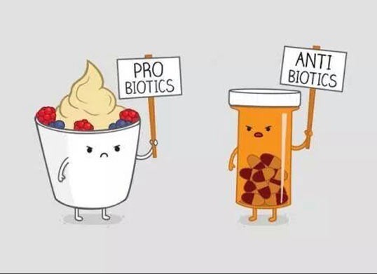 Probiotics Vs Antibiotics Protesters. Image by Post Memes on  Flickr (CC BY 2.0)