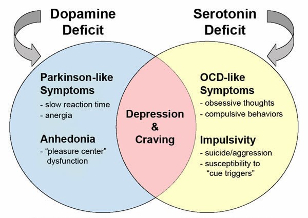 Various effects of the deficiency of Dopamine and Serotonin. Retrieved from: http://biologicalexceptions.blogspot.co.uk/2016/01/its-exercise-resolution.html