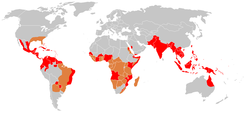 Figure 2: Areas affected by the Dengue fever (2006). https://commons.wikimedia.org/wiki/File:Dengue.png Credit: Distribution de la dengue sur Commons, Percherie via WikiCommons 2006