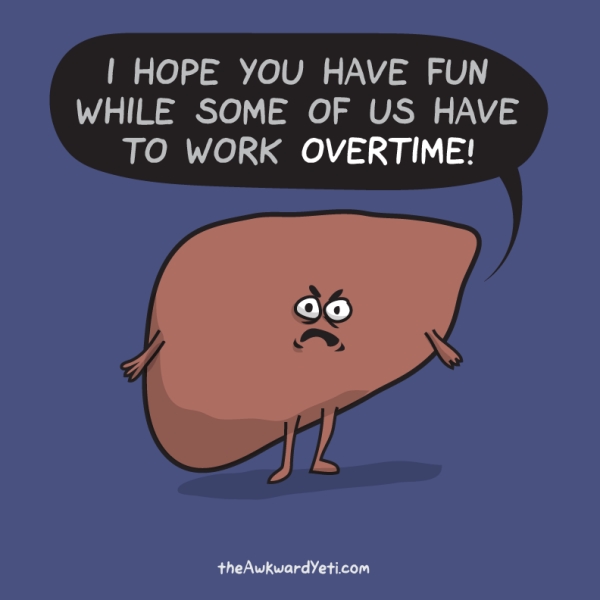 Our liver is a critical organ for metabolism and also protects us from toxic substances such as caffeine, alcohol, and other drugs. Image credit: The Awkward Yeti, http://theawkwardyeti.com/