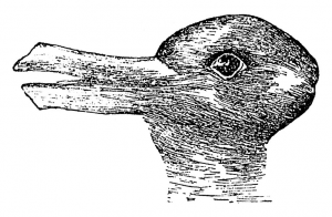 The Rabbit-duck illusion illustrates how the brain can interpret the same evidence differently, from simple perceptual categorisation to complex political judgments. 