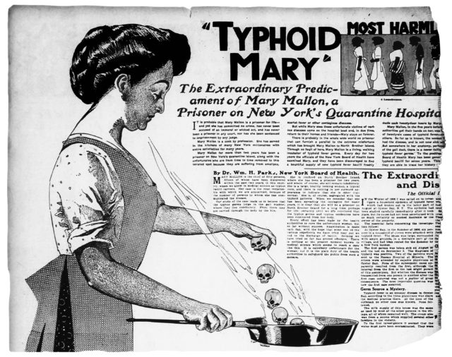 Newspaper clippings about the notorious case of Typhoid Mary